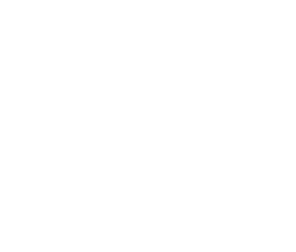 Bílé logo Hotel Rott